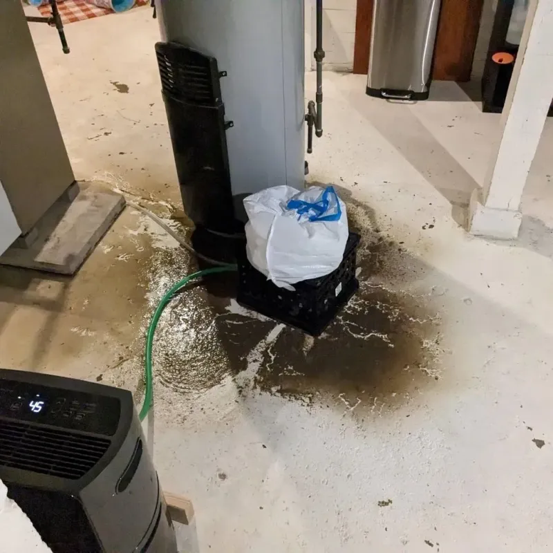Sewage Backup Cleanup Service in Moody, AL